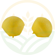 Replacement Plugs Hearing Protection Headband Earmuffs 10 Pairs