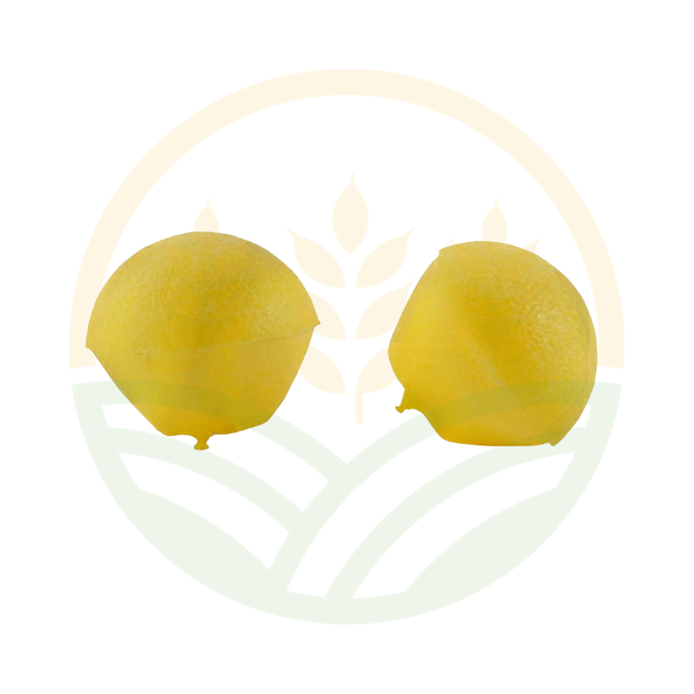 Ricambi Tappi Protezione Cuffie Antirumore Archetto Conf. 10 Paia