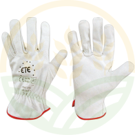 Calf Grain Leather Gloves Multi-size Hemmed Wrist Internal Elastic