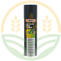 Direct Injection Valve Cleaner: Pulizia per Valvole e Iniezione Diretta W28879