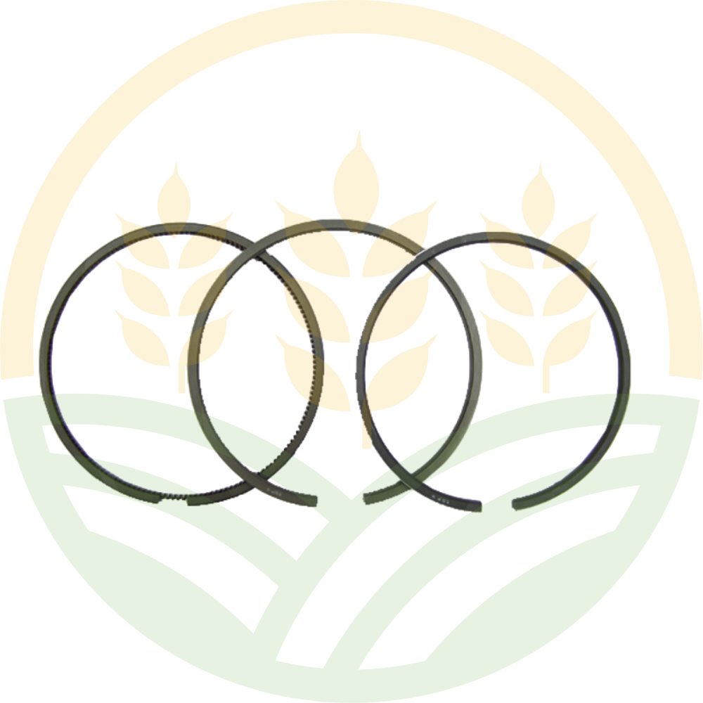 Piston Ring Set Ø 100 mm – Ref. 3218669R91