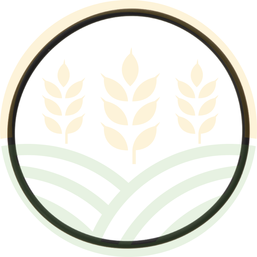 O-ring Inferiore Canna Cilindro – Rif. 130100041001