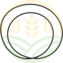 Junta Tórica Superior de Camisa – Ref. 130100041002