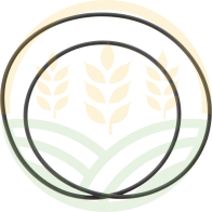 O-ring Superiore Canna Cilindro – Rif. 130100041002