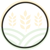 Kit O-ring Canna Cilindro (3 pz.) – Rif. 162000040705