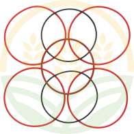 Kit 3 Juntas Tóricas Original John Deere | R48638 / R48637