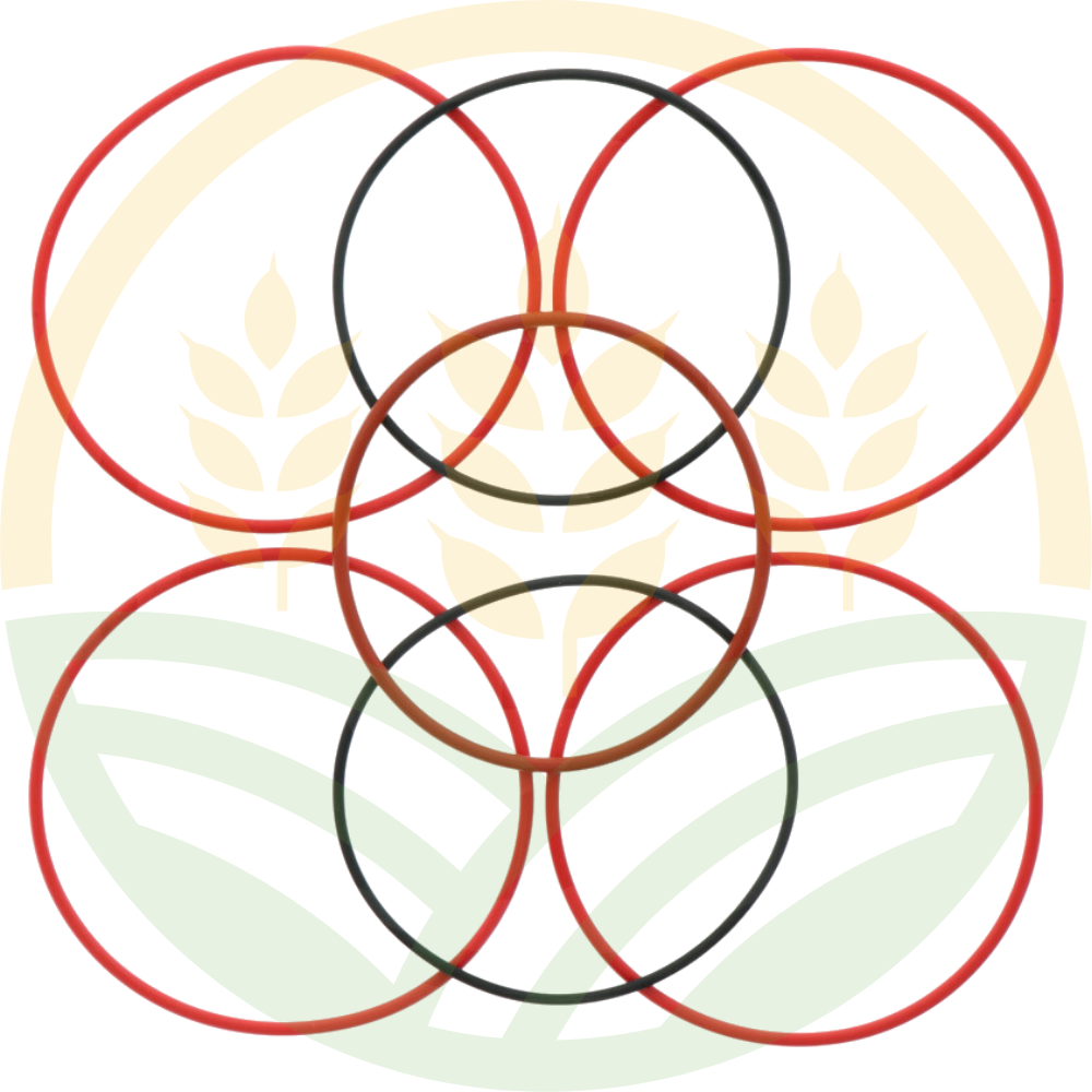 Kit 3 Juntas Tóricas Original John Deere | R48638 / R48637