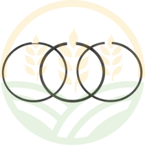 Original John Deere Piston Rings | RE66271