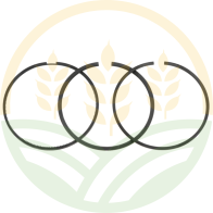 Original John Deere Piston Rings | RE66271