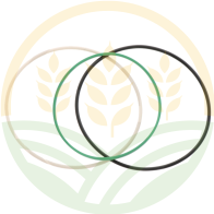 Kit O-Ring John Deere RE539558 | Tenuta Canna Cilindro