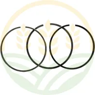 Fasce Elastiche Originali John Deere | RE503528 | Ø 116mm