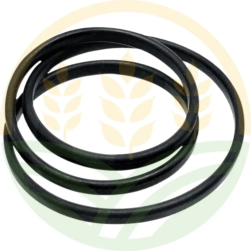 O-Ring Camicia Case IH GRANIT 38002947 Magnum | Agrokron