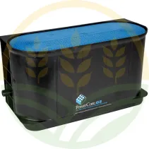 Filtro Aire Donaldson P958670 John Deere | Agrokron