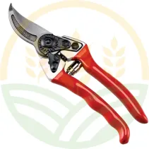 Forbice Vigna Professionale Ausonia 21cm | Agrokron