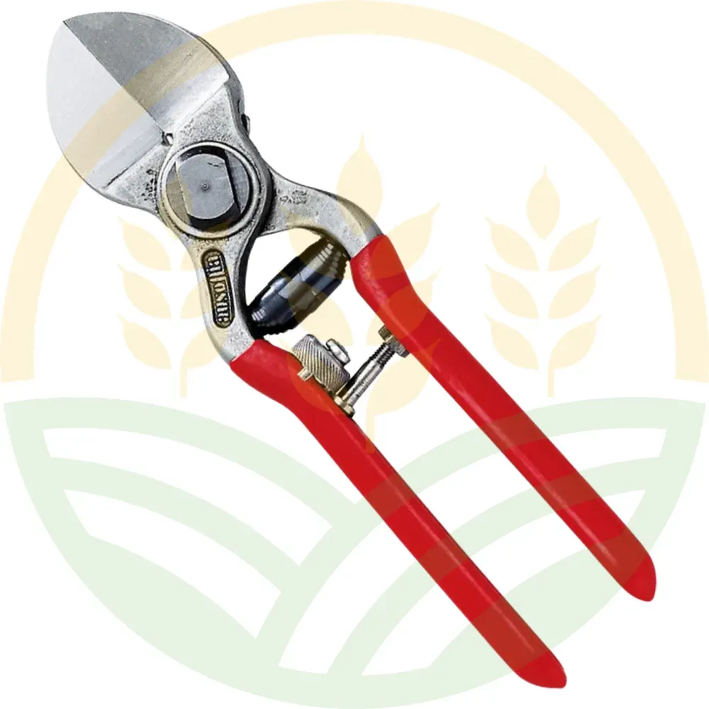 Forbice Doppio Taglio Professionale 21cm | Agrokron