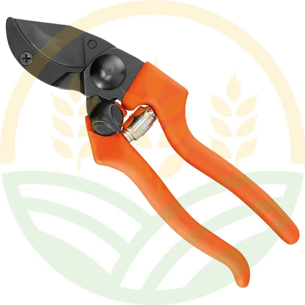 Forbice a Battente Frutta e Olivo 25mm | Agrokron