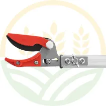 Ausonia 35131 Telescopic Pruner with Saw 3m | Agrokron