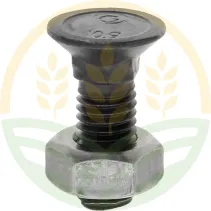 Viti per Aratro con Dado DIN 608 M10x30 10.9 | Agrokron