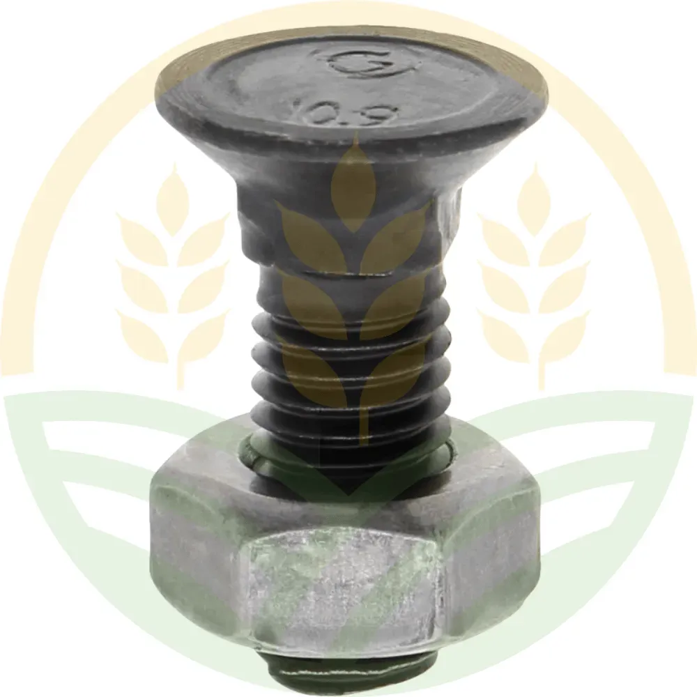 Plow Bolts with Nuts DIN 608 M10x30 10.9 (25 Pcs) | Agrokron