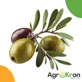 Olive Harvesting Equipment | Harvesters & Nets | Agrokron