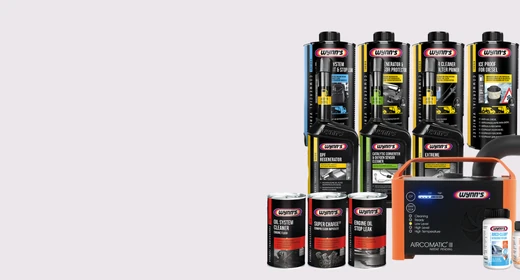 Additivi Wynn's Professionale